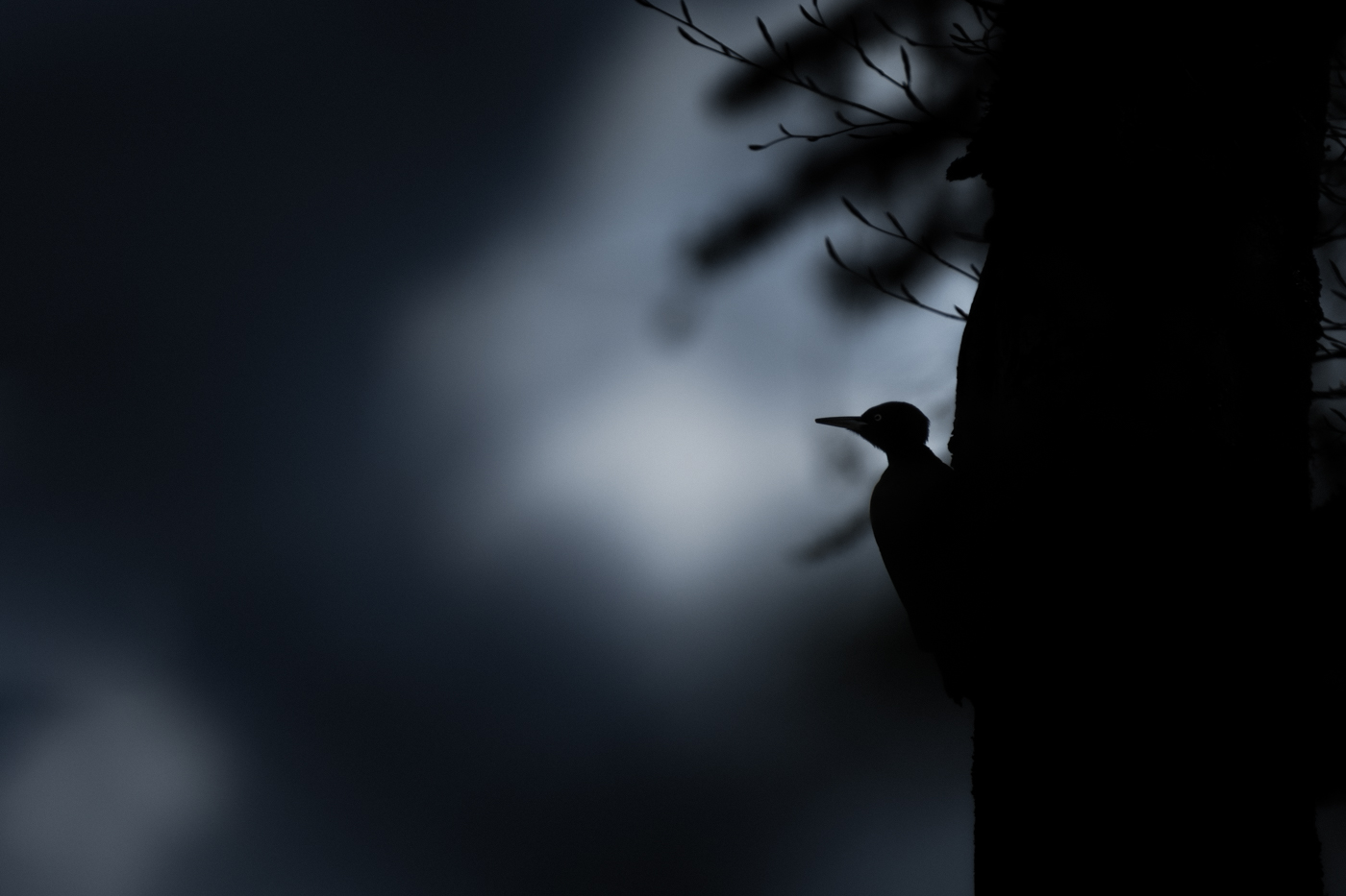 En rouge et noir